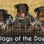 Dogs of the Dow Investment Strategy