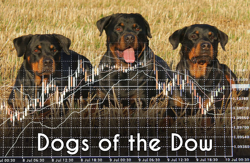 dogs of the dow strategy applied to cryptocurrency