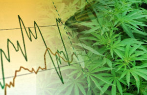 Marijuana Stocks