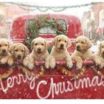 xmas image