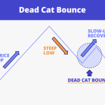 Dead Cat Bounce