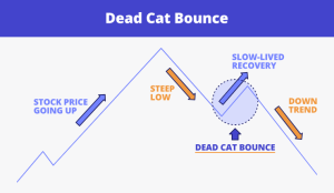 Dead Cat Bounce