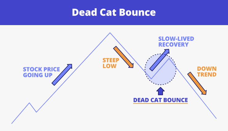 Dead Cat Bounce