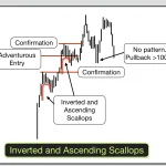 Scallop Patterns in Trading